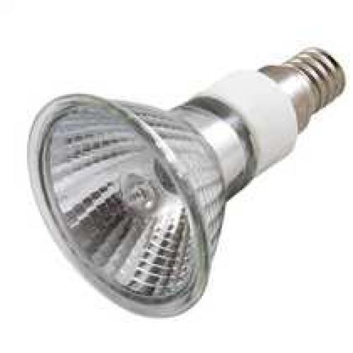 40W 240vSES PAR16 halogen lamp