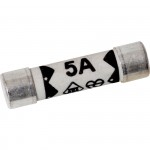 5 Amp plug top fuse