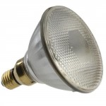 80W ES PAR38 lamp flood