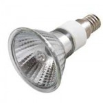 40W 240vSES PAR16 halogen lamp