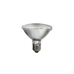 100W 240V ES PAR30halogen lamp